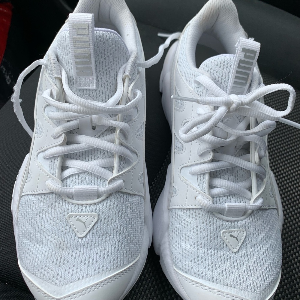 Puma 8